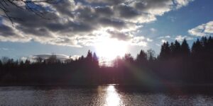 Mehr über den Artikel erfahren Lebensrede oder Trauerrede?